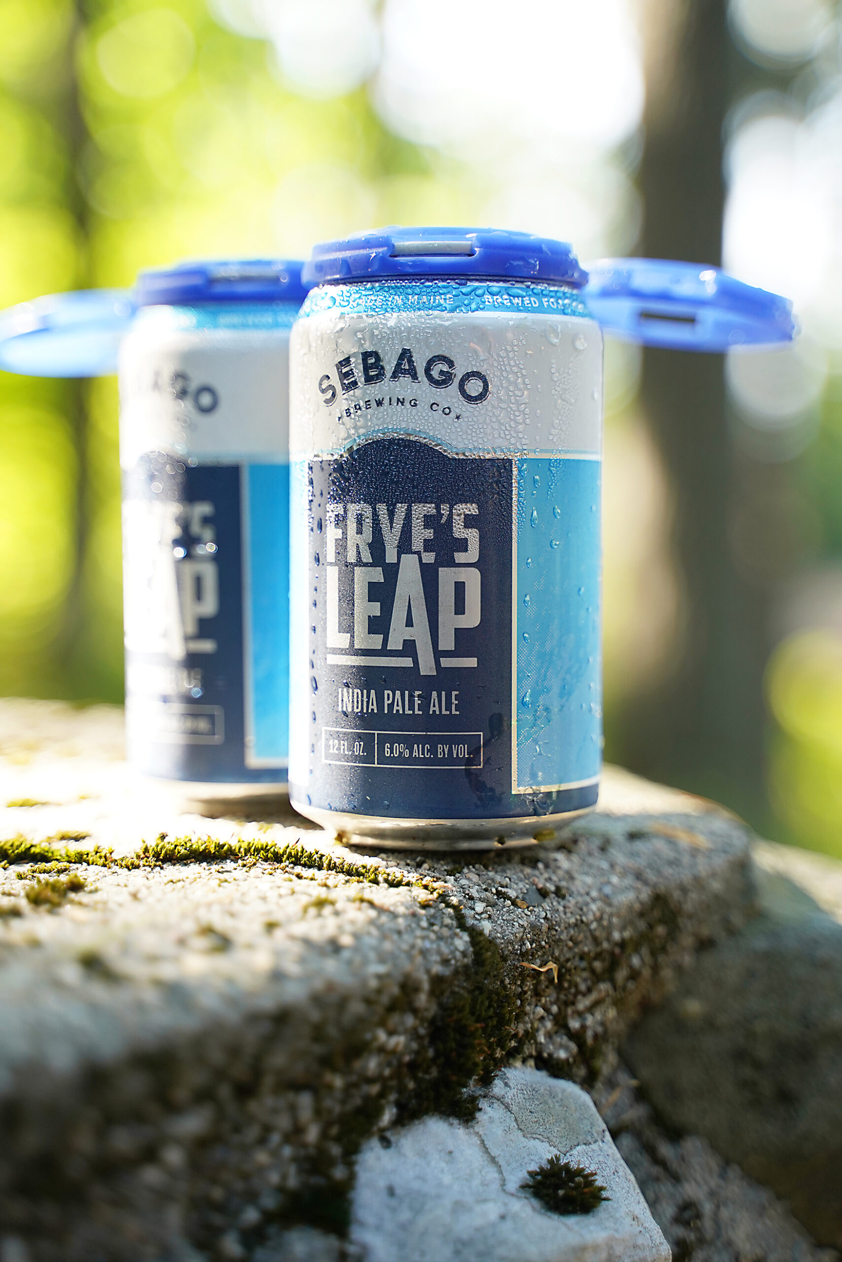 Sebago Brewing_Fryes Leap_1